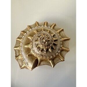 Gold Hinged Conch Shell Trinket Box Clear Rhinestone Golden Inlay